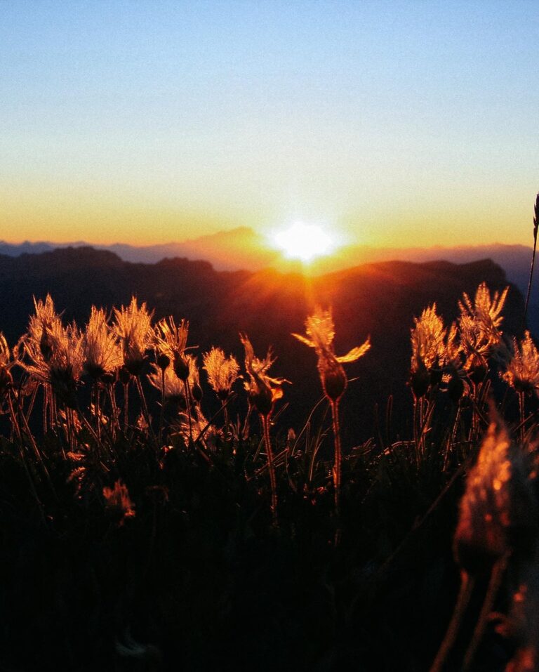 4B0F2F0C-7E9B-4B9D-B974-02CEE0A96E29